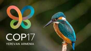 M&eacute;xico llevar&aacute; a la COP17 propuesta para fortalecer la biodiversidad y ampliar financiamiento ambiental