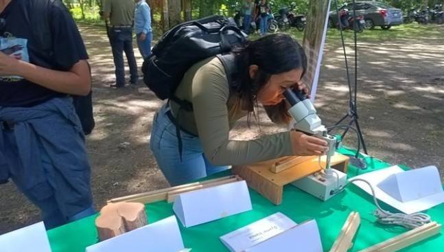 Muestras de madera tropical acercan la investigaci&oacute;n forestal a estudiantes en Esc&aacute;rcega