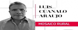 Columna de Luis Cuanalo