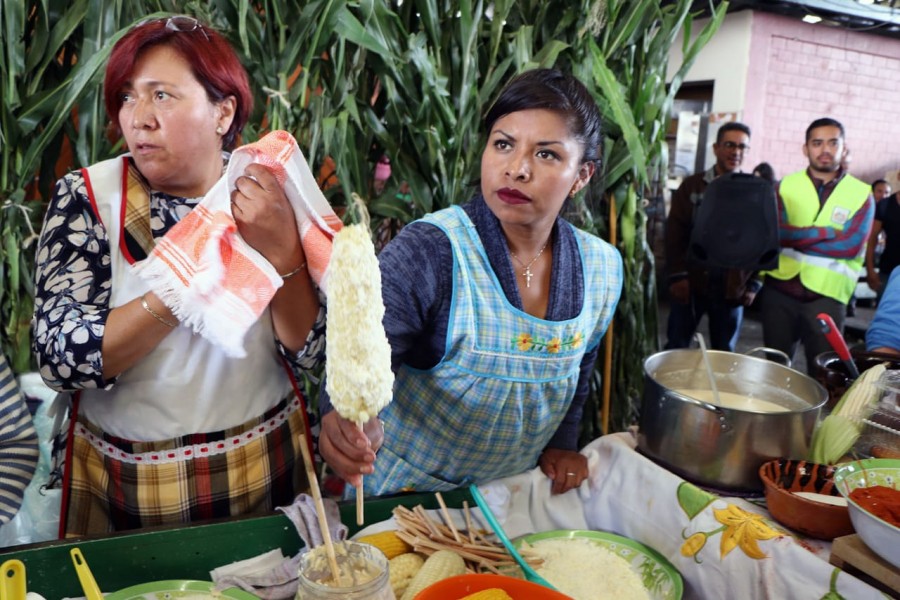 Invitan a la Romería de elote Cacahuazintle en la Ceda