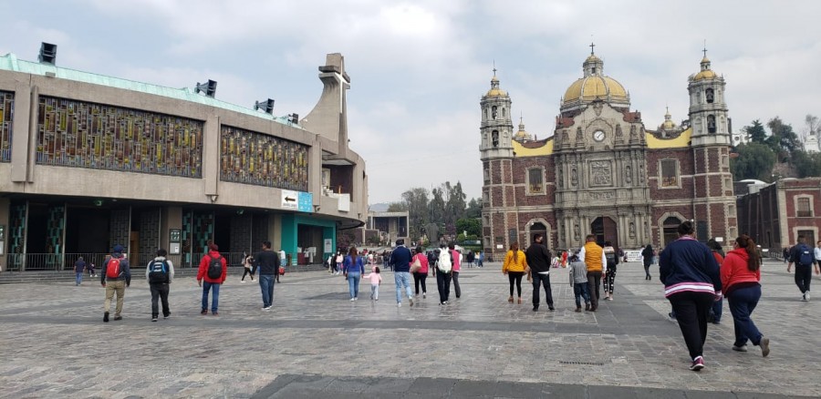 Por afluencia y previo cierre de Basílica de Guadalupe, autoridades implementan ?Peregrino Quédate en Casa?