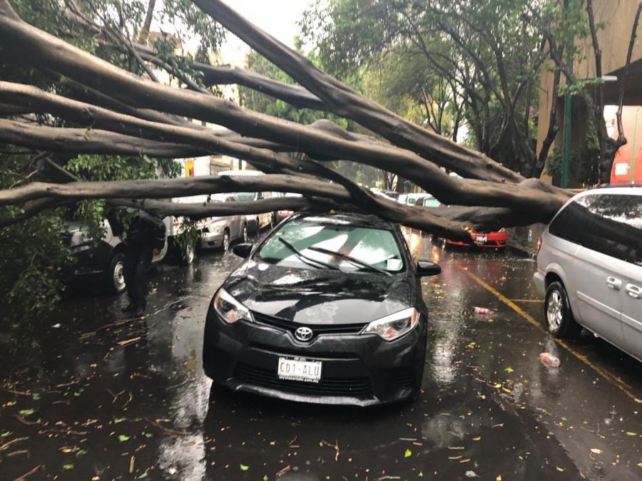 SSC apoya a la ciudadanía luego de las lluvias