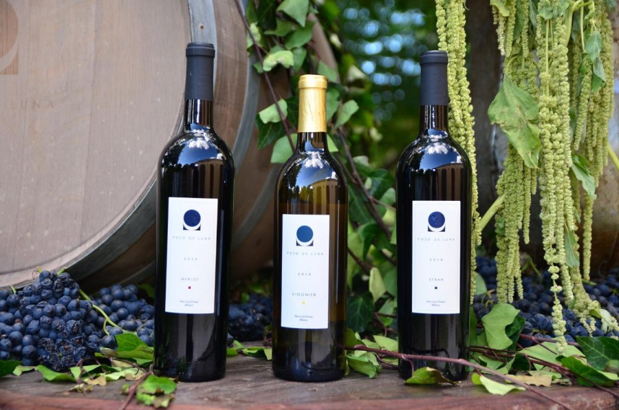 Vino producido en Soledad obtuvo la Gran Medalla de Oro en el Concurso Mundial de Bruselas