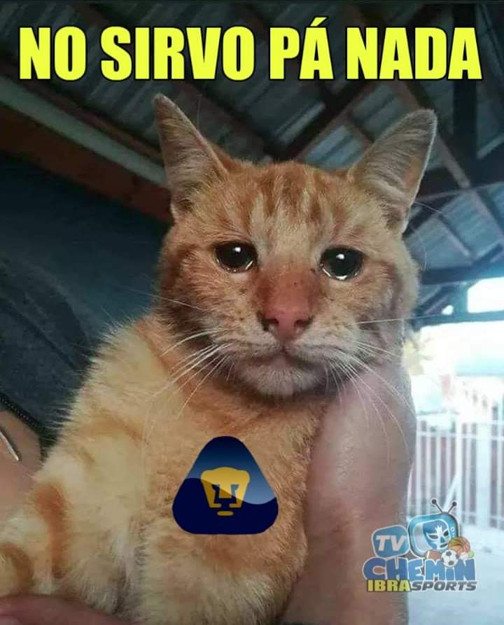 Memes del America Pumas