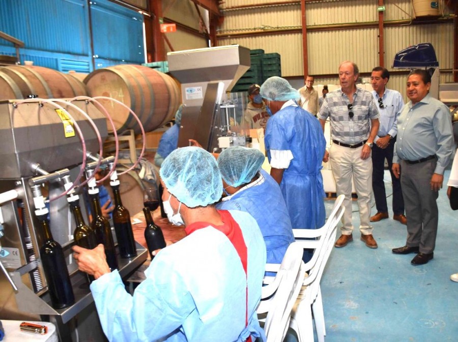 Vino producido en Soledad obtuvo la Gran Medalla de Oro en el Concurso Mundial de Bruselas