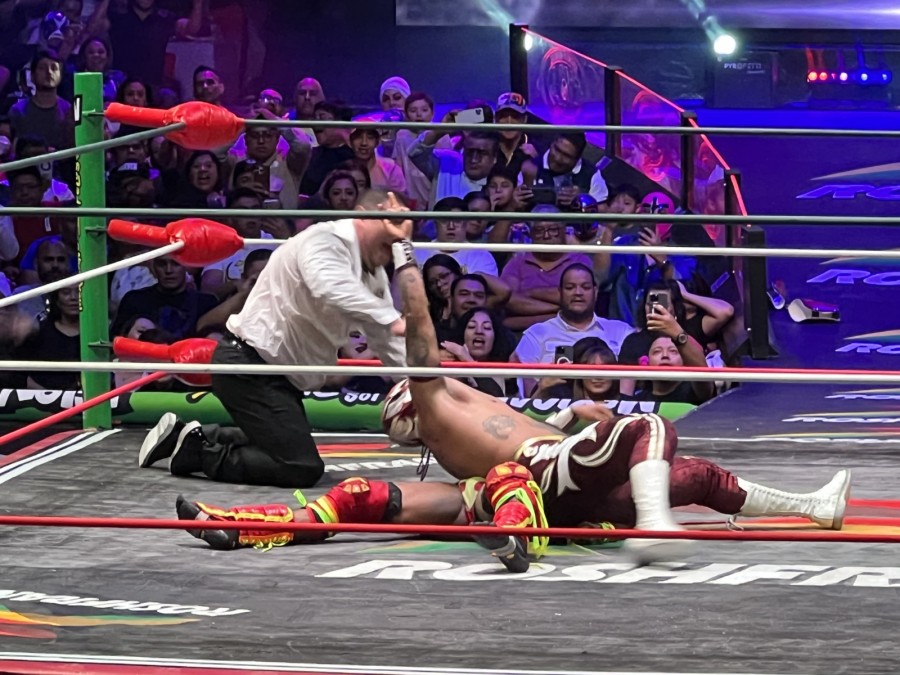 Templario vs Dragón Jr