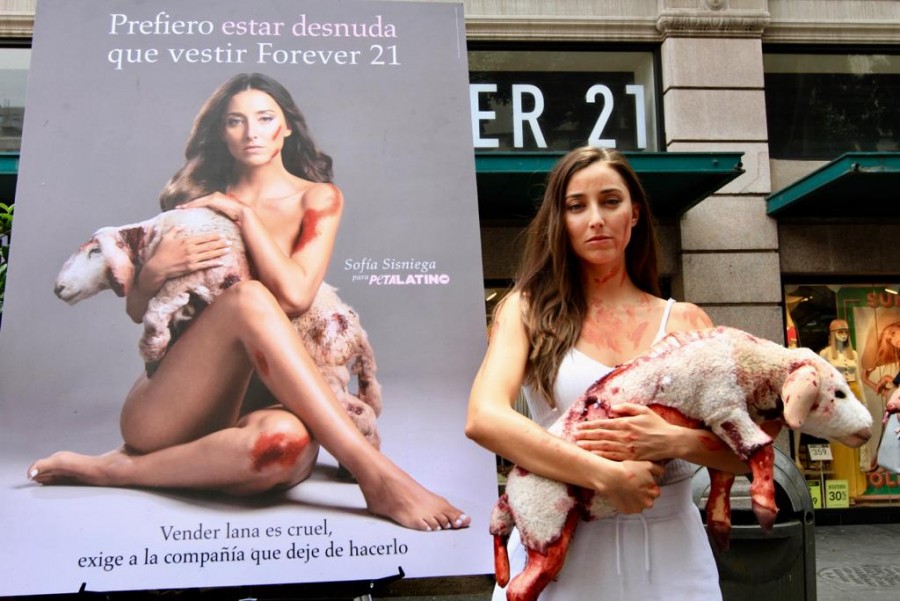 Sofía Sisniega va contra la crueldad animal en el Centro Histórico