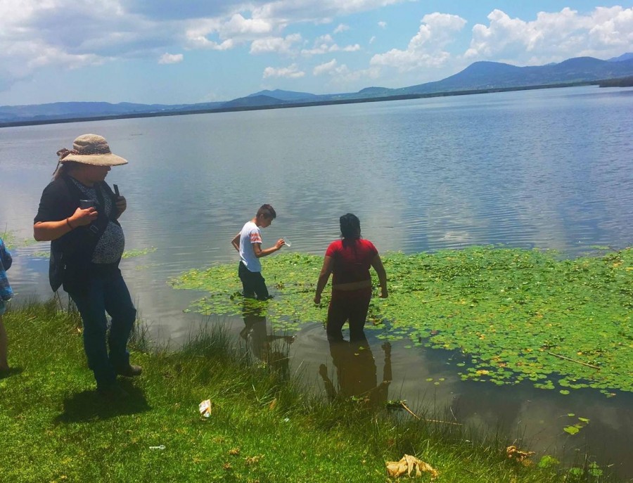 Recupera IPN el último humedal del Valle de México