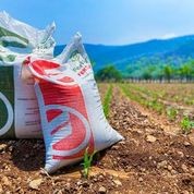 Agricultura