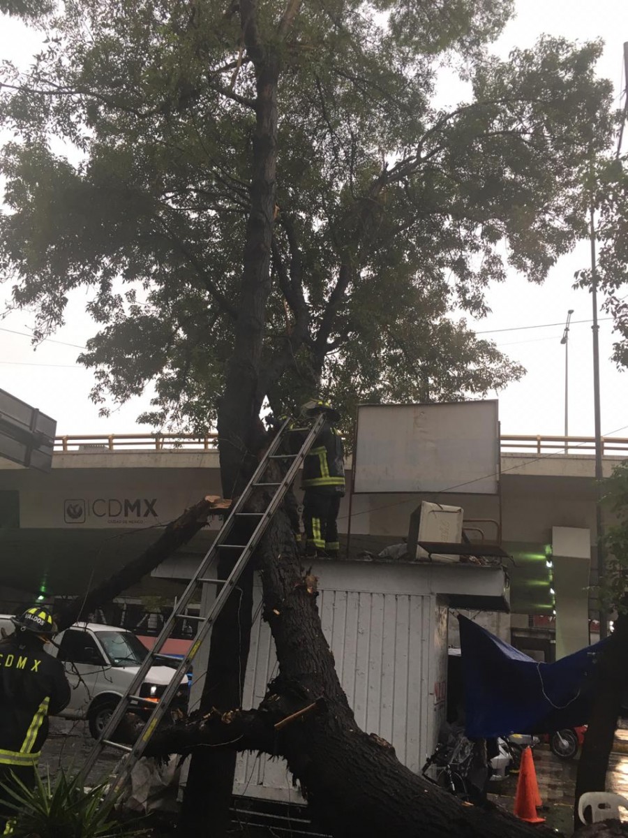 SSC apoya a la ciudadanía luego de las lluvias