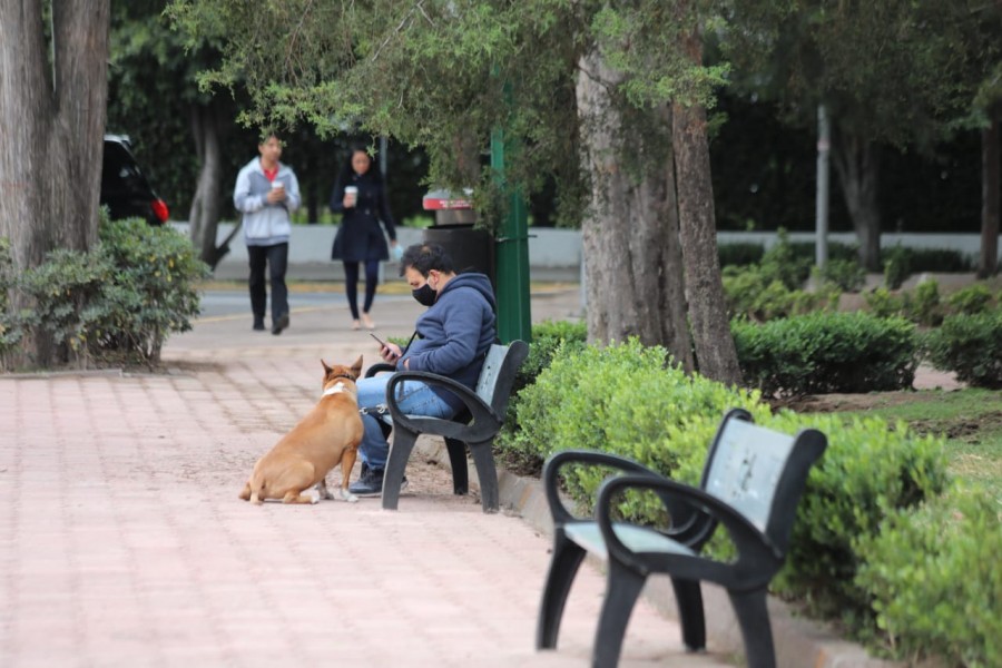 Alcaldía Miguel Hidalgo recupera y entrega parque América en Polanco