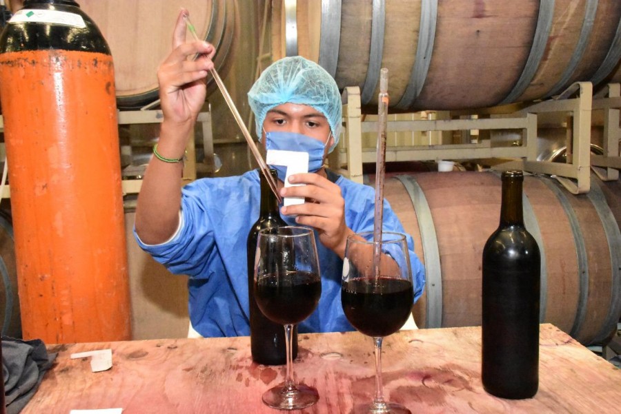 Vino producido en Soledad obtuvo la Gran Medalla de Oro en el Concurso Mundial de Bruselas