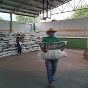 Agricultura