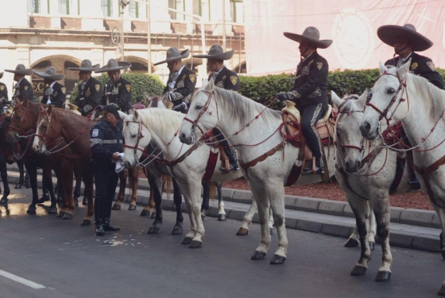 Policía Típica Charra