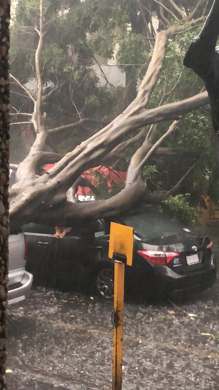 SSC apoya a la ciudadanía luego de las lluvias