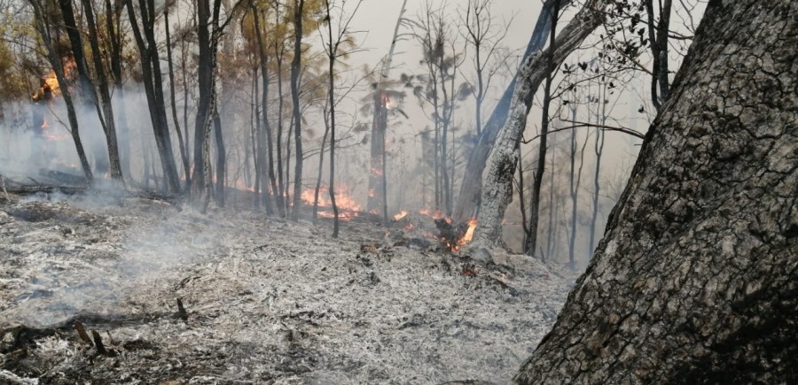 Continúa combate de incendio forestal en el Valle de Bravo