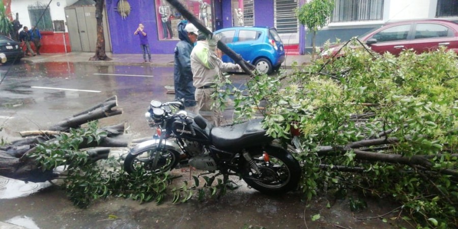 SSC apoya a la ciudadanía luego de las lluvias