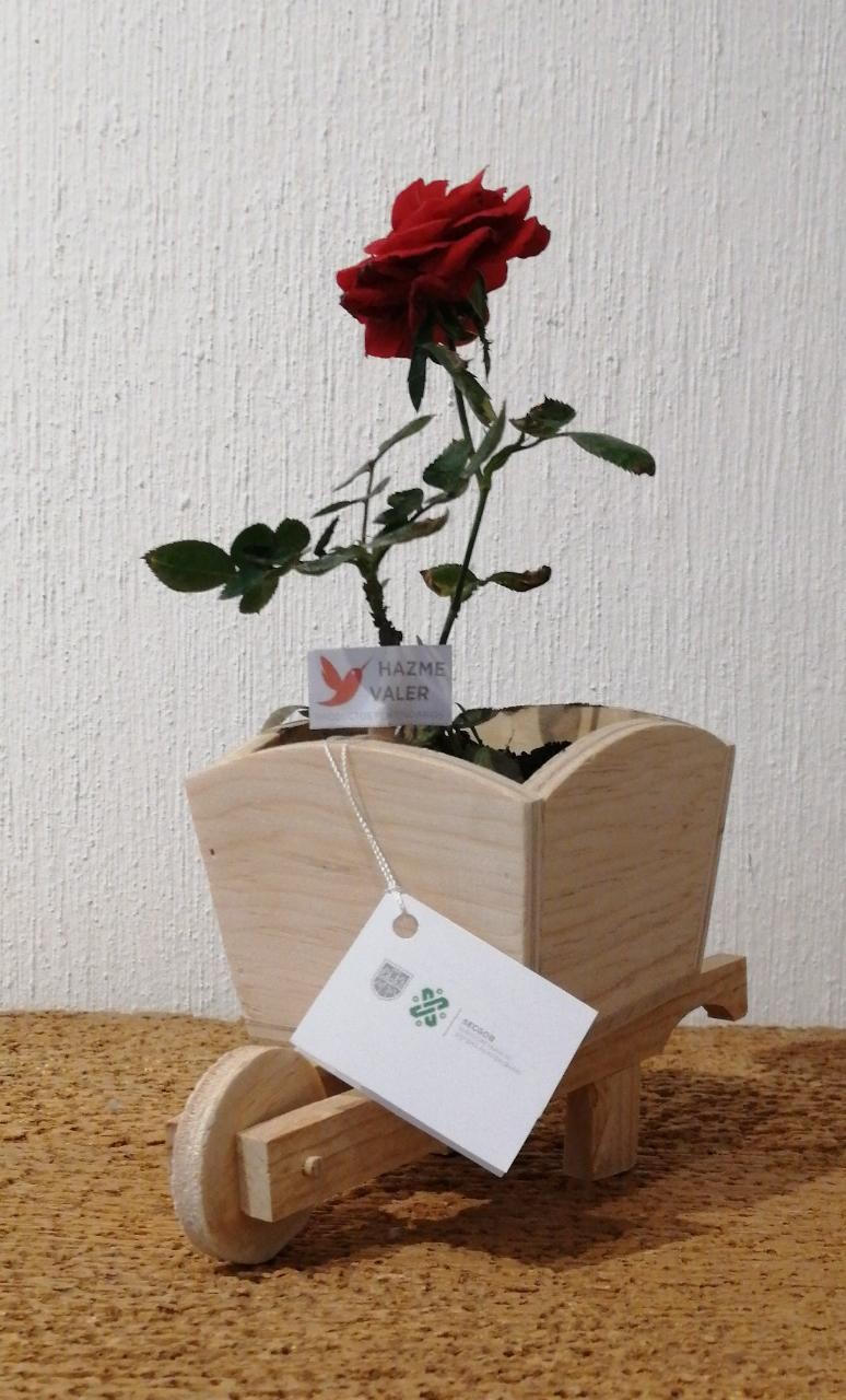 Rosas de San Valentin