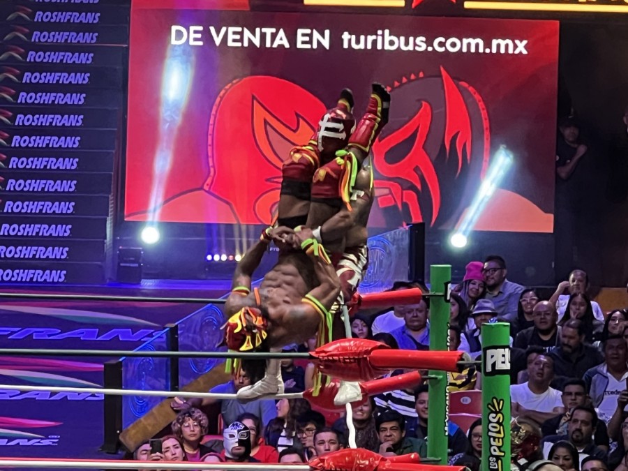 Templario vs Dragón Jr