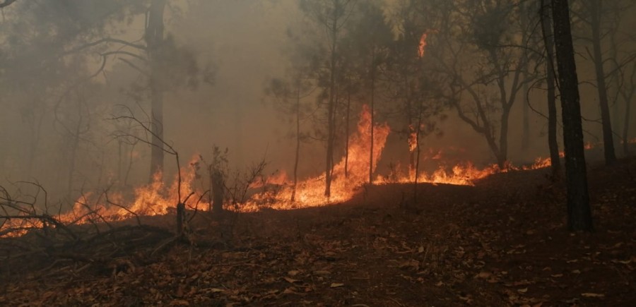 Continúa combate de incendio forestal en el Valle de Bravo