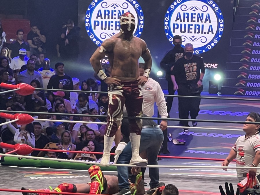 Templario vs Dragón Jr