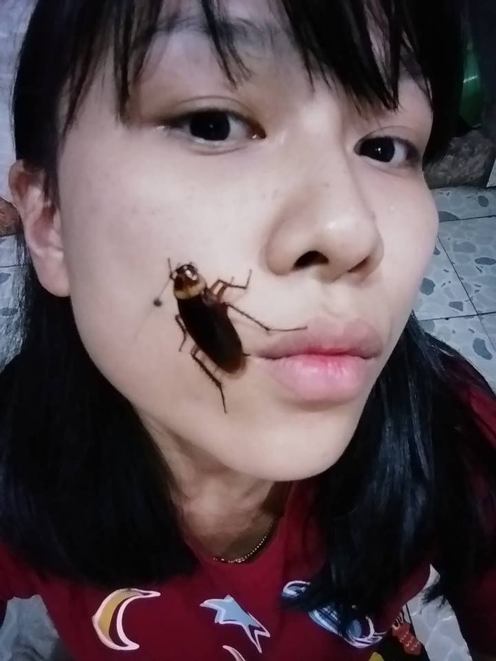 Surge ?Cockroach challenge? nuevo reto con cucarachas