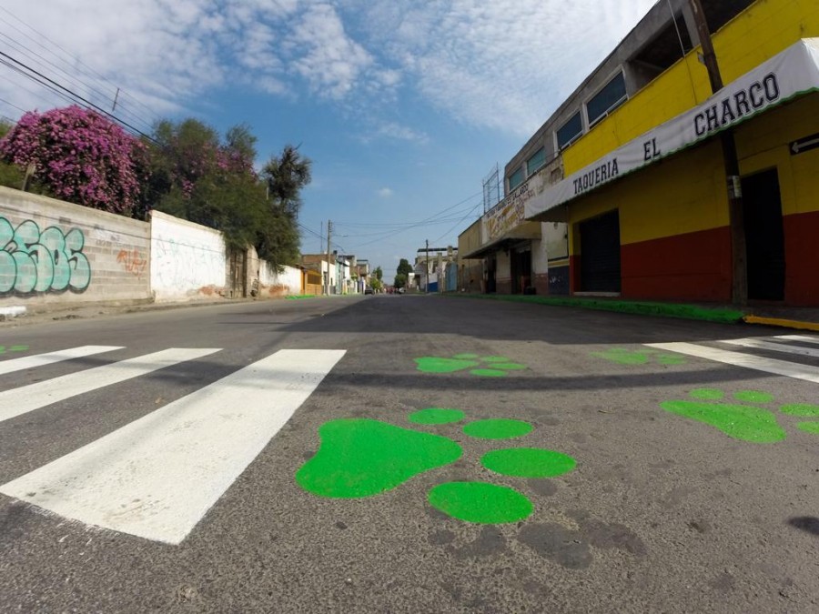 SOLEDAD LÍDER EN TRANSFORMACIÓN DE INFRAESTRUCTURA URBANA