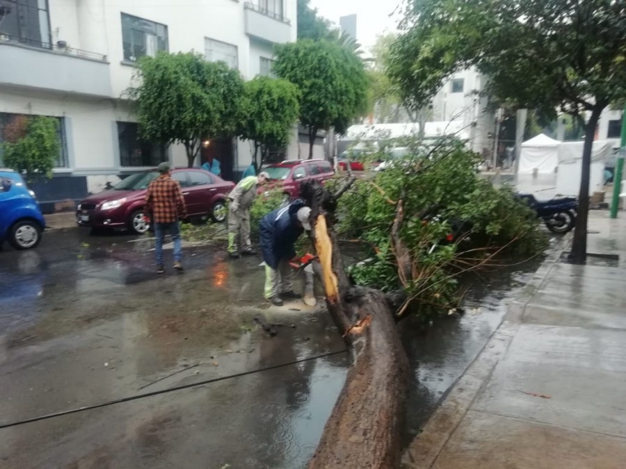 SSC apoya a la ciudadanía luego de las lluvias