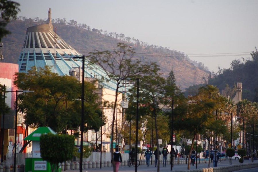 CDMX OPERATIVO PEREGRINO