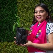 Apoyo a mujeres