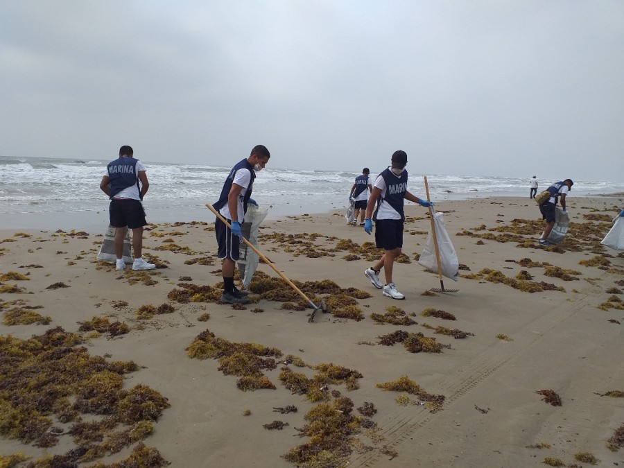 Limpieza en playas de Tamiahua, Veracruz