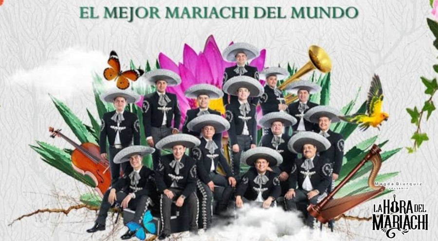 Un Tributo a la Esencia de México