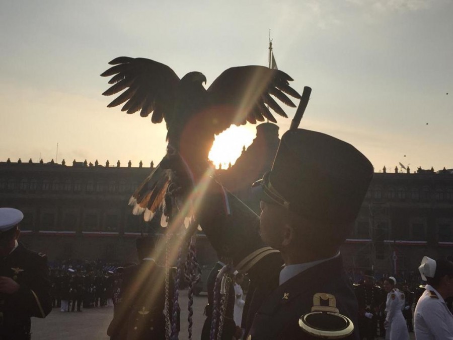 Desfile Militar 2019