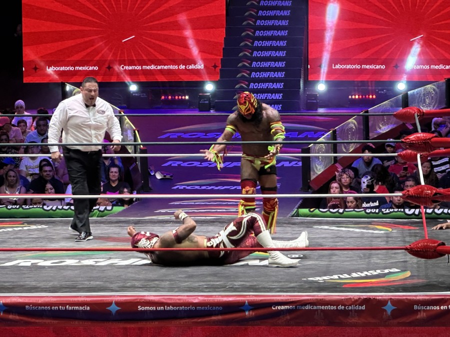 Templario vs Dragón Jr