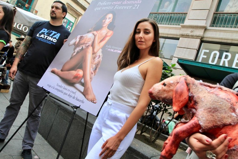 Sofía Sisniega va contra la crueldad animal en el Centro Histórico