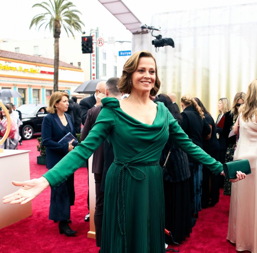 Alfombra roja