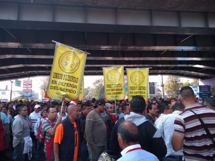 marcha Coyoacán