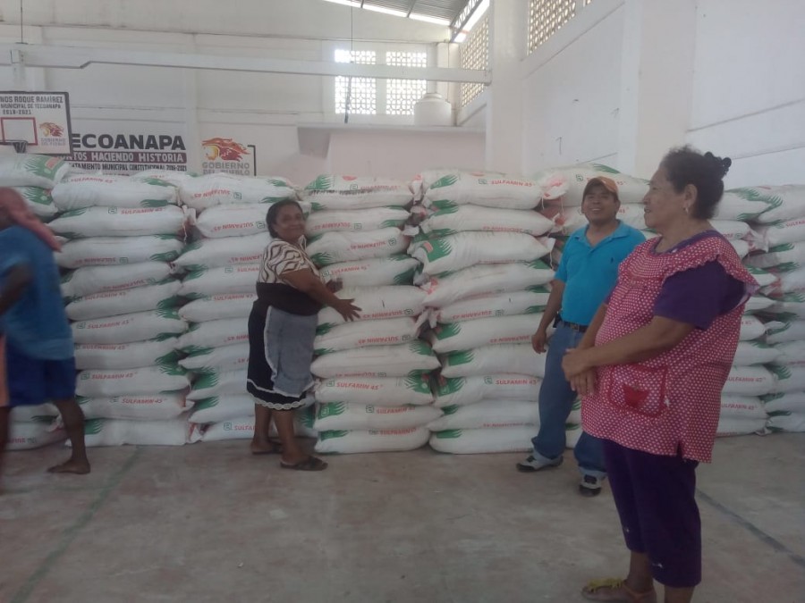 Secretaría de Agricultura inicia entrega fertilizantes