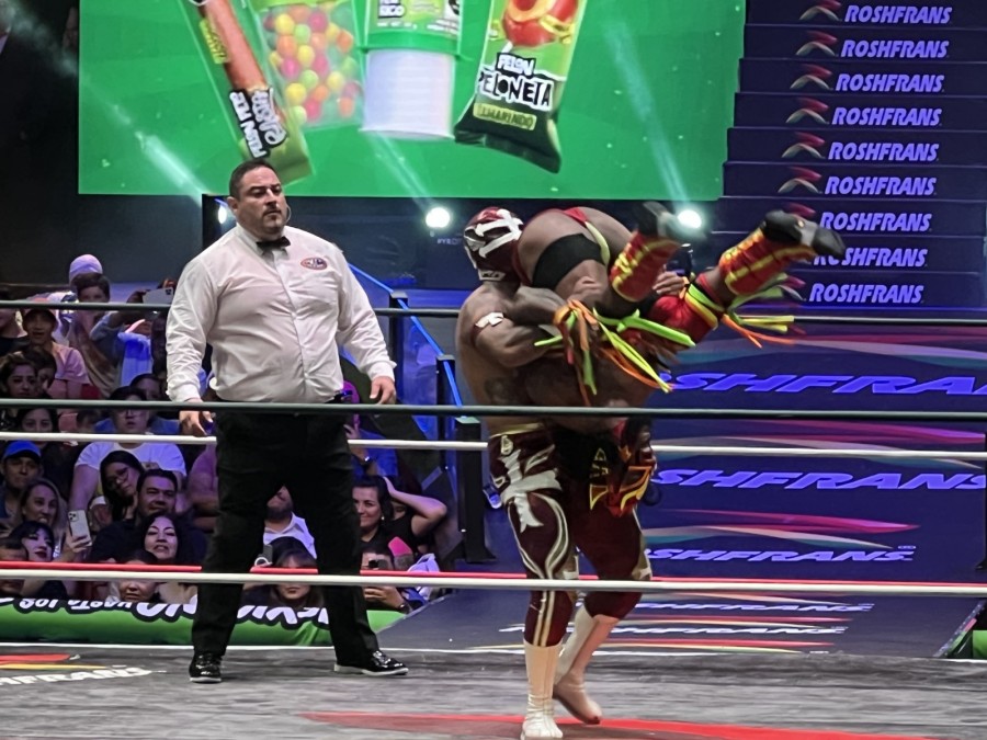 Templario vs Dragón Jr