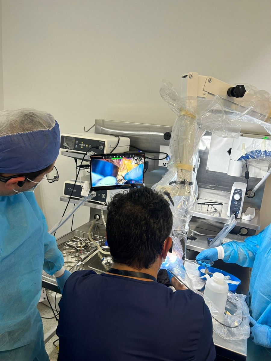 Curso de Neurocirugía: Órbita y Base de cráneo