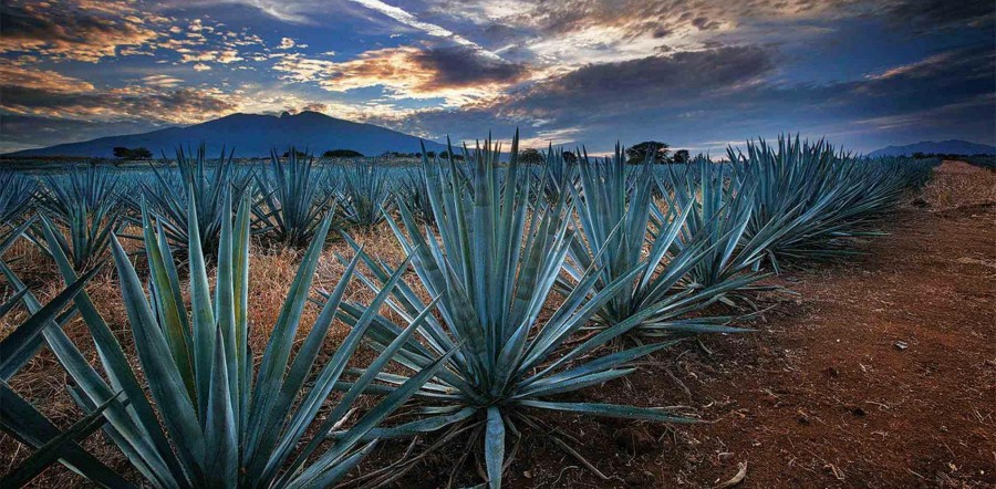 Pueblo Mágico, Tequila, Jalisco