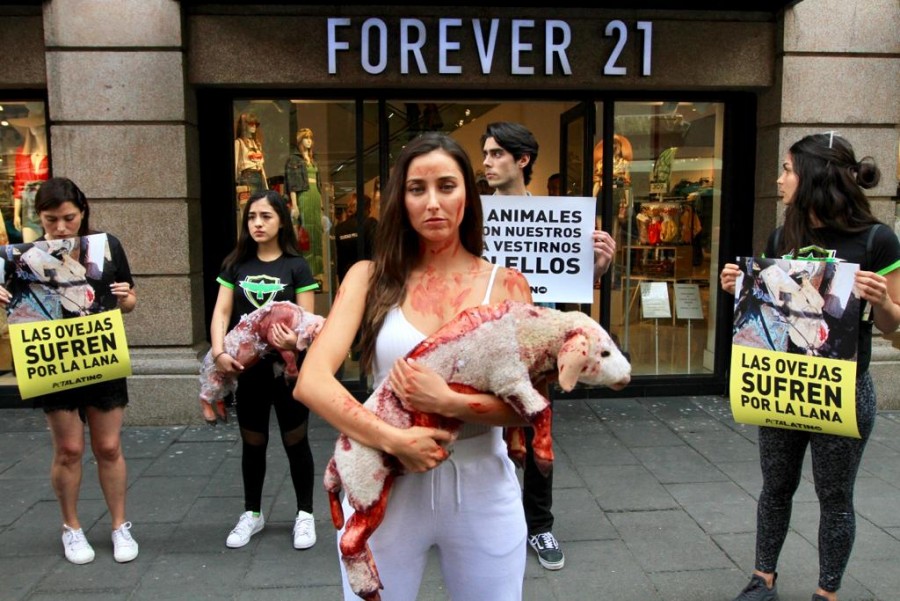 Sofía Sisniega va contra la crueldad animal en el Centro Histórico
