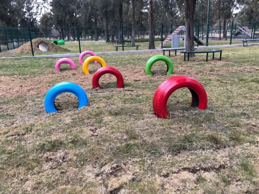 Parque de juegos para mascotas en Bosque de Aragón en la GAM