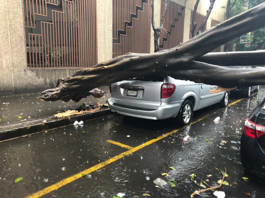 SSC apoya a la ciudadanía luego de las lluvias