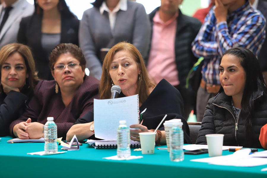 Tatiana Clouthier debería informarse “un poquito mejor” sobre la Guardia Nacional: Polevnsky