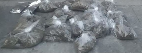 Detienen a dos sujetos, por posesión de marihuana en Iztapalapa