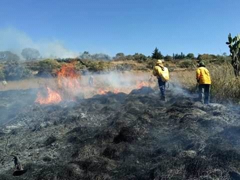 Han sido atendidos 178 incendios por la SEDEMA en ocho alcaldías