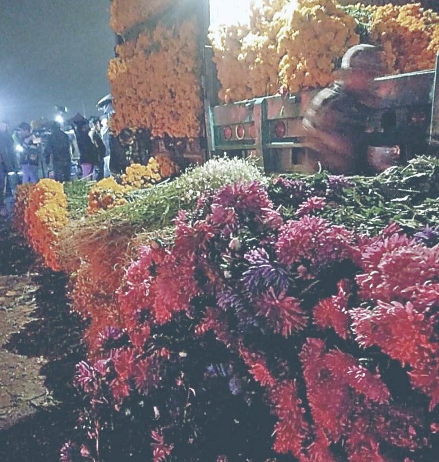 Romería por Día de Muertos inunda la Central