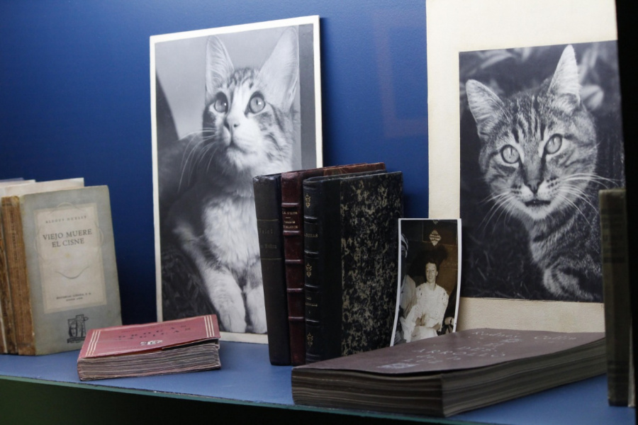 Llega la intimidad de Remedios Varo al Museo de Arte Moderno