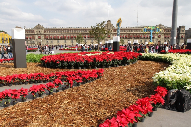 Inauguran Jardín Cultural del Zócalo